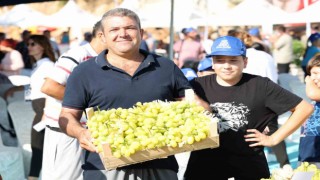 Şenlik, üzüm satışlarını artırdı