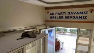 Sevimli kedi sıcak havadan parti binasına sığınarak korunmaya çalıştı