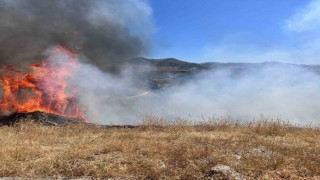 Sigara izmariti otluk alanı tutuşturdu