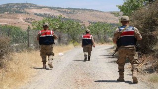 Siirt fıstığı hırsızlığına karşı karadan ve havadan denetleniyor