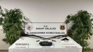 Sinopta jandarmadan uyuşturucu operasyonu: 1 gözaltı