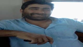Sinopta kesilen ağacın altında kalan işçisi öldü