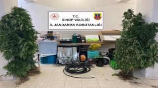 Sinopta uyuşturucu tacirlerine operasyon