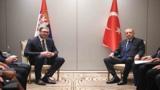 Sırbistan Cumhurbaşkanı'n Vucic "Erdoğan ile önemli bir görüşme yaptık"