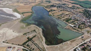 Sivasta ilginç doğa olayı, göl yosunla kaplandı