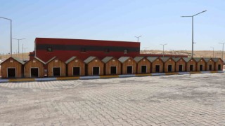 Sokak hayvanları rehabilitasyon merkezi inşaatı tamamlandı