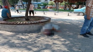 Son sigarasını yakamadan hayatını kaybetti