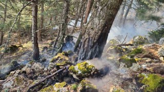 Spil Dağına düşen yıldırım orman yangını çıkardı