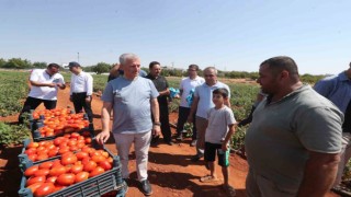 Tahmazoğlu, çiftçilerle tarlada domates ve biber topladı