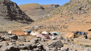 Terörden arındırılan yaylalarda hayvancılık yapanlar için yaşam alanları oluşturuldu