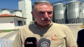 TMO Genel Müdürü Güldal: “8,7 milyon ton hububat alımı yapıldı”