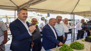 Tokattın meşhur sebze ve meyveleri birinci olmak için yarıştı