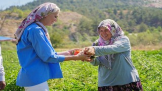 Toprakla buluşan 180 bin fide ilk ürünlerini verdi