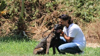 Türkiyede nadir bulunup barınaktan kaçan Dutch Shepherd cinsi köpek için seferber oldular