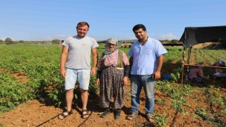 Türkiyenin ceviz fidanı ihtiyacı bu bölgeden karşılanıyor