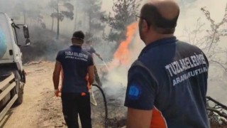 Tuzla Belediyesi, Çanakkaledeki orman yangını için seferber oldu