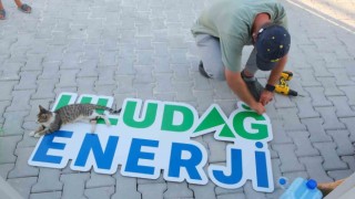 Uludağ Enerji, Hatay kampüsünde sokak hayvanlarını unutmadı