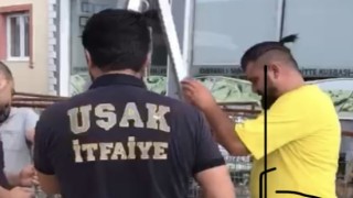 Uşakta kuyuya düşen kediyi itfaiye ekipleri kurtardı