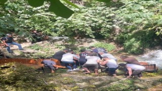 Üzerine dal düşen 3 kişi yaralandı