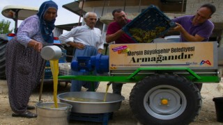 Üzümleri makine sıkıyor, üretici dinleniyor