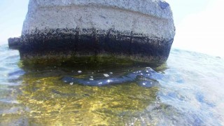 Van Gölünde Kayı tamgalı ve haç işaretli taşlar bulundu