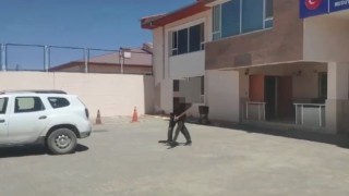 Vanda 5 organizatör tutuklandı