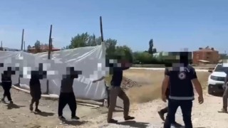 Vanda göçmen kaçakçılığı operasyonunda 9 tutuklama