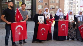 Vanlı ailelerin evlat nöbeti 62nci haftasına girdi