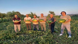 Vezirköprü Ovasında alternatif ürün karpuz