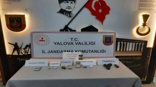 Yalovada uyuşturucu operasyonu: 1 tutuklama