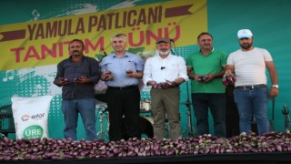 Yamula Patlıcan Festivaline 10 Binlerce Kişi Katıldı