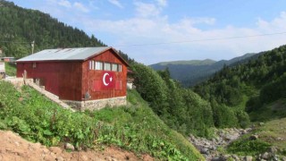 Yayla şenliklerinde Kafkas arı ırkı ve ürünleri tanıtıldı