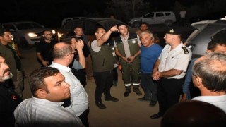 Yenişehirdeki orman yangınından çarpıcı görüntüler...Yangın kontrol altında