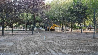 ‘Yeşil yatırımlar hız kesmiyor