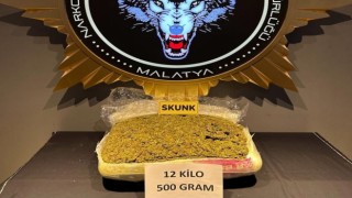 Yolcu otobüsünde 12,5 kilo skunk ele geçirildi
