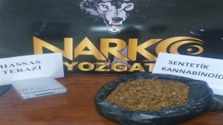 Yozgatta üzerinde bonzai ele geçirilen zanlı tutuklandı