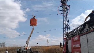 Yüksek gerilim hattında asılı kalan leyleği itfaiye kurtardı