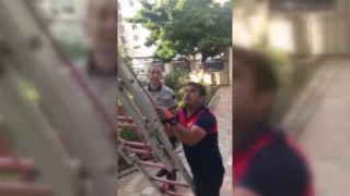 Yuvasından düşen yavru kuş, itfaiye ekiplerince kurtarıldı