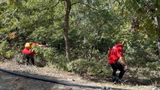 12 yıl önce öldürüldüğü ortaya çıkan kadının cesedini bulmak için çalışma başlatıldı