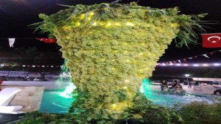 15 Sarıgöl Sultani Üzüm Festivalinde dev üzüm salkımı ilgi gördü