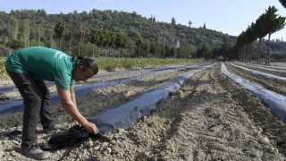 Adabahçede kış hazırlıkları başladı