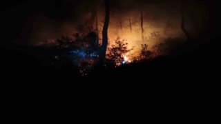 Adanada aynı bölgede bir haftada ikinci orman yangını