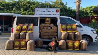 Adanada bir araçta yapılan aramada 755 kilo tütün ele geçirildi