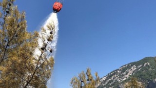 Orman yangınına anında müdehale edilerek söndürüldü