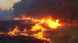 Ağaçlık alana sıçrayan yangın güçlükle kontrol altına alındı