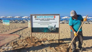 Alanya Belediyesinden caretta carettalara özel çalışma