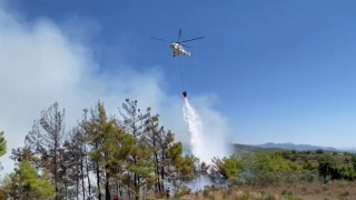 Alanyadaki orman yangını karadan ve havadan müdahaleyle büyümeden söndürüldü