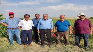 Arazi toplulaştırması çiftçileri mağdur etti
