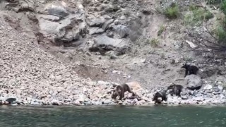 Artvinde tekne ile baraj gölünde yapılan turlar hayvanat bahçesi turlarını aratmıyor