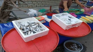Av sezonu başladı, fiyatlar geriledi